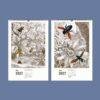 2027 wall calendar featuring vintage insect botanical illustrations
