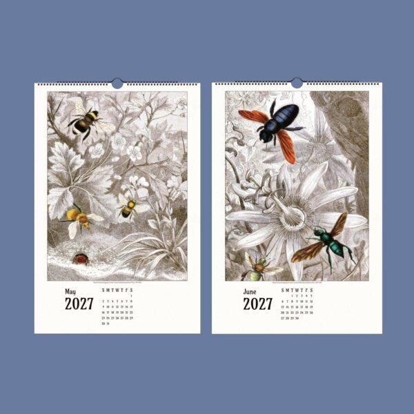 2027 wall calendar featuring vintage insect botanical illustrations