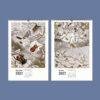 2027 wall calendar featuring vintage insect illustrations for September October