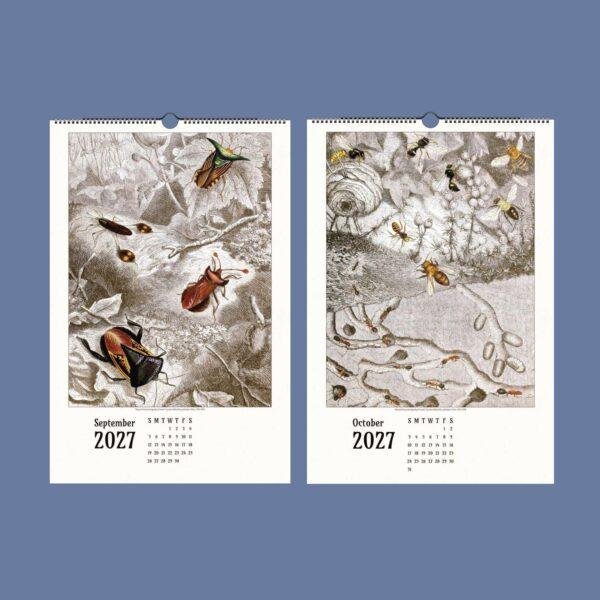 2027 wall calendar featuring vintage insect illustrations for September October