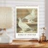 Wings of Heritage vintage pigeon calendar 2027 on shelf