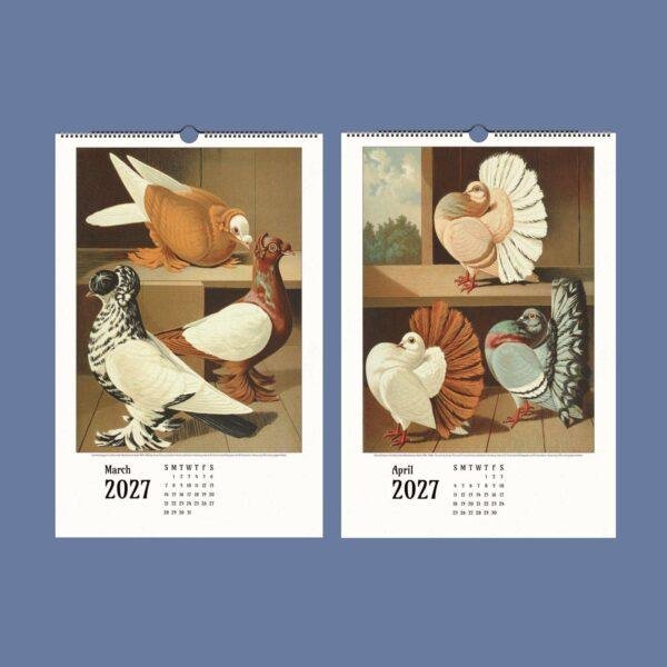 2027 wall calendar featuring vintage pigeon breed illustrations