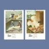 2027 wall calendar featuring vintage pigeon breed illustrations