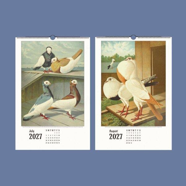 2027 wall calendar featuring vintage pigeon breed illustrations