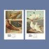 2027 wall calendar featuring vintage pigeon breed illustrations