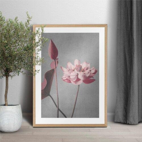 Framed pink lotus flower art print in wooden frame