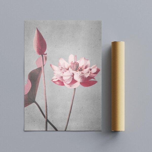 Pink lotus flower art print with cardboard tube