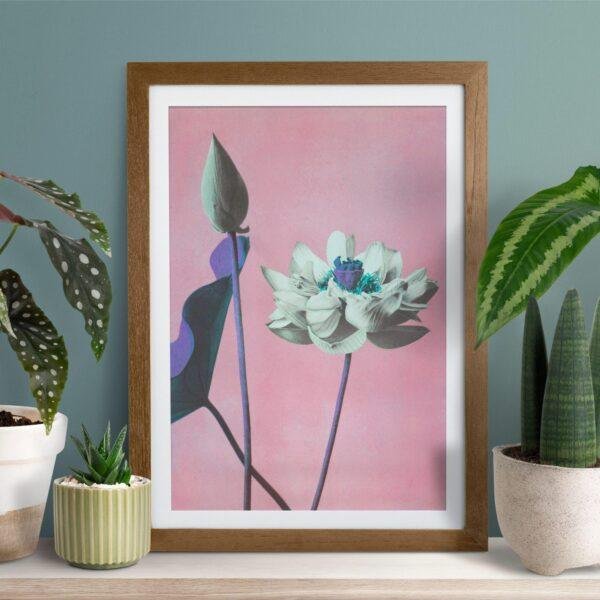 Framed lotus flower art print surrounded by houseplants