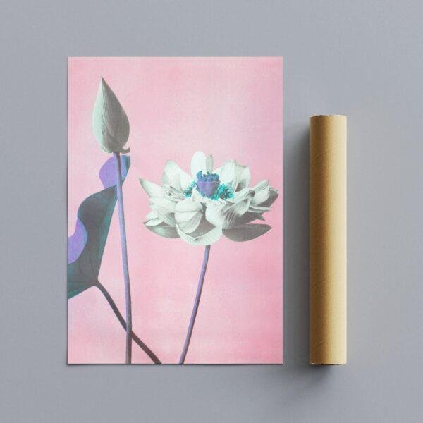 Lotus flower art print with cardboard tube poster roll