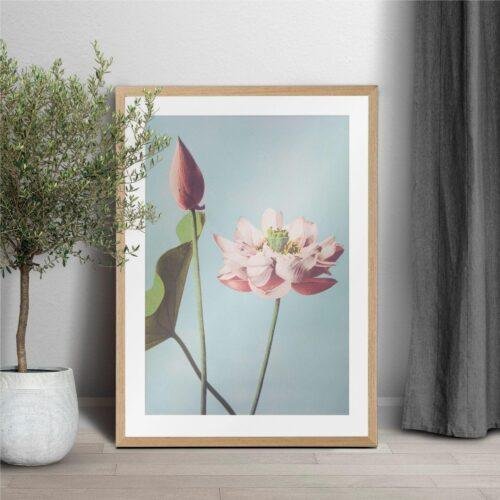 Framed lotus flower print leaning against white wall