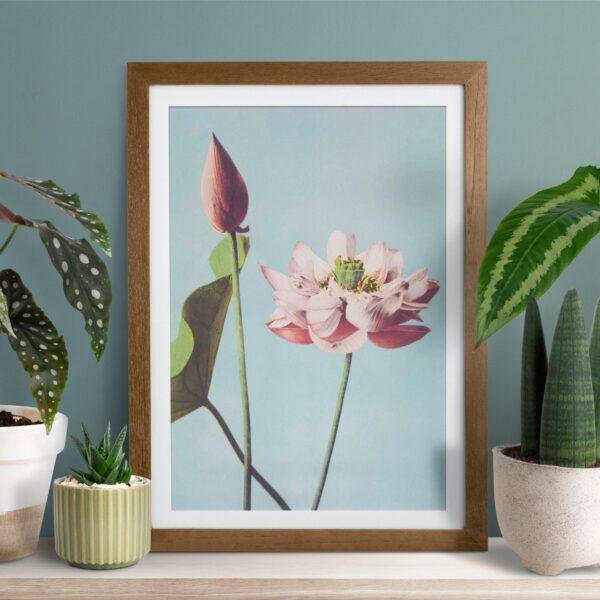 Framed lotus flower print surrounded by houseplants