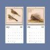2027 wall calendar featuring vintage nature illustrations of birds and porcupine