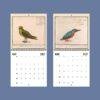 2027 wall calendar featuring vintage bird illustrations for May June