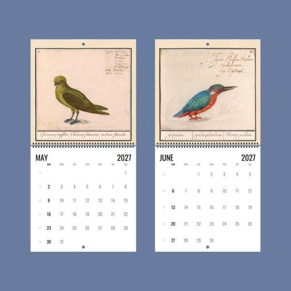 2027 wall calendar featuring vintage bird illustrations for May June