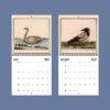 2027 wall calendar featuring vintage bird illustrations July August