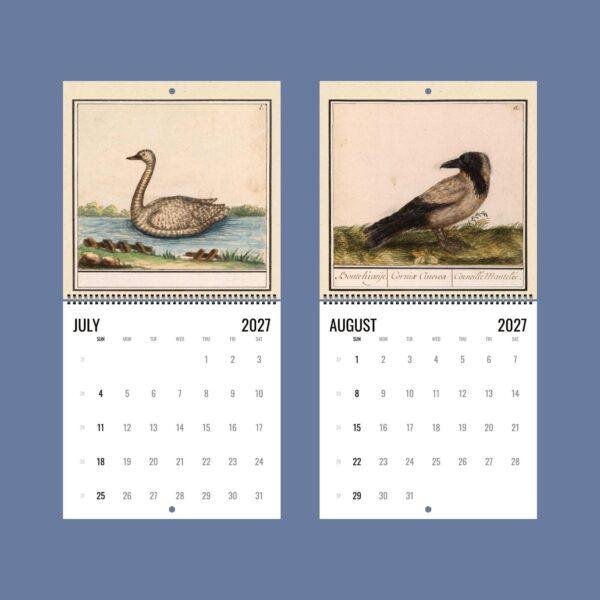 2027 wall calendar featuring vintage bird illustrations July August