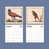 2027 wall calendar with vintage bird illustrations November December