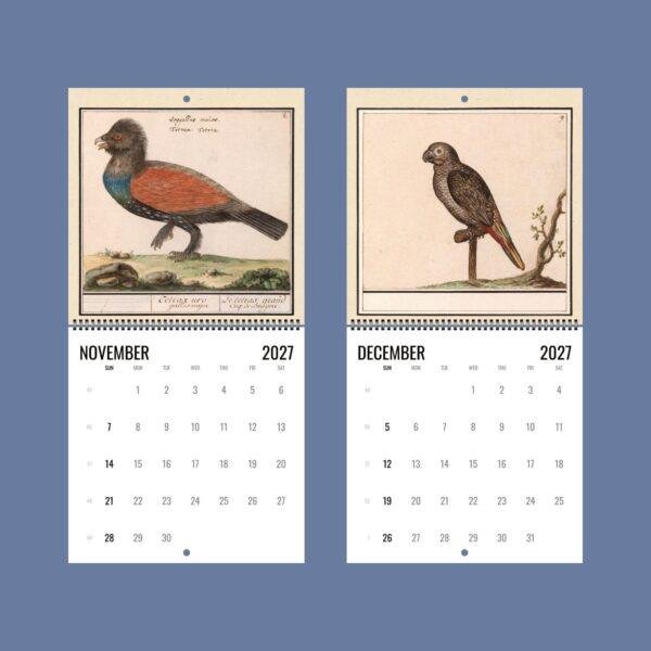 2027 wall calendar with vintage bird illustrations November December