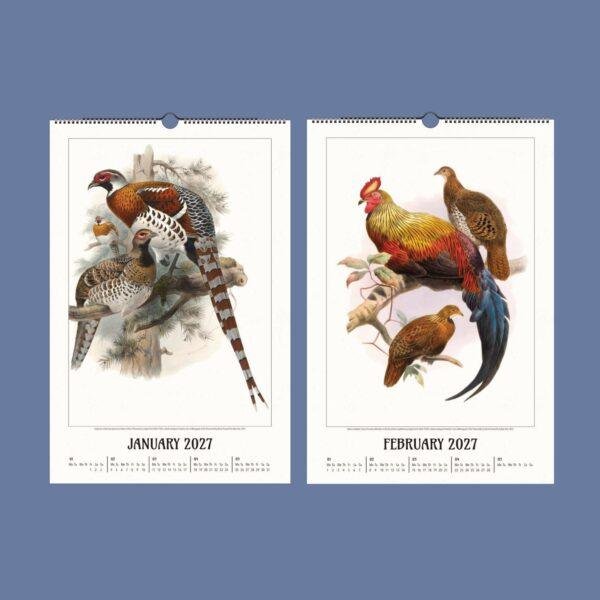2027 wall calendar featuring vintage pheasant bird illustrations