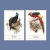 2027 wall calendar featuring vintage exotic bird illustrations