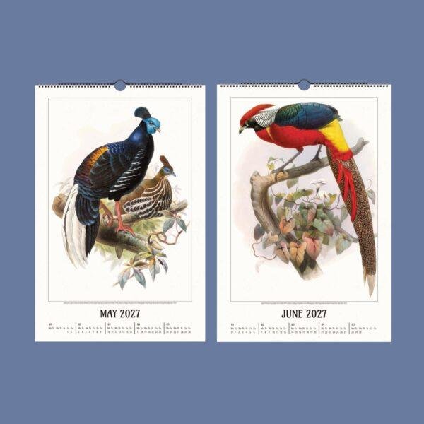 2027 wall calendar featuring vintage exotic bird illustrations