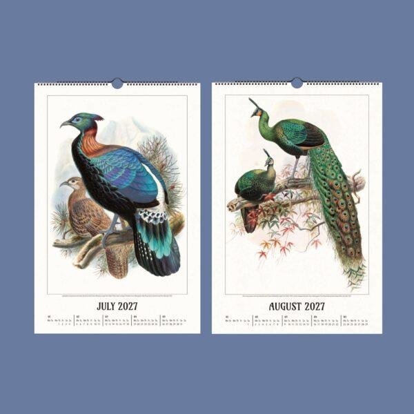 2027 wall calendar featuring vintage bird illustrations July August