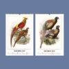 2027 wall calendar featuring vintage pheasant illustrations November December