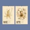 Vintage octopus illustration wall calendars for March and April