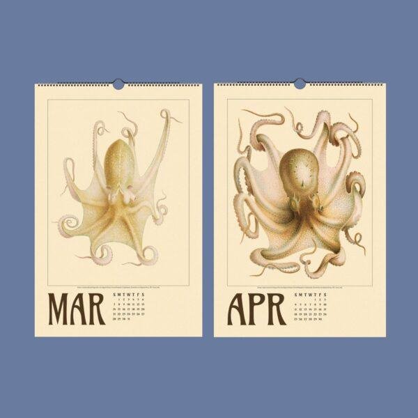 Vintage octopus illustration wall calendars for March and April