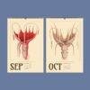 September and October calendar pages featuring vintage squid illustrations
