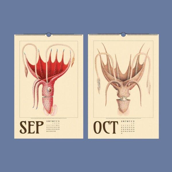 September and October calendar pages featuring vintage squid illustrations