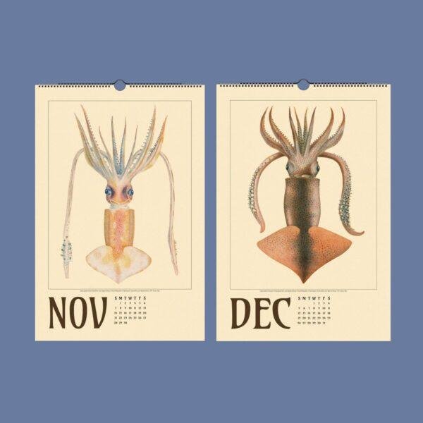 November and December wall calendar pages featuring vintage squid illustrations
