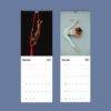 2027 wall calendar featuring aerial silk and yoga poses