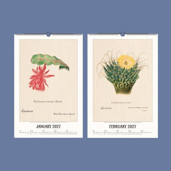 2027 botanical cactus wall calendar showing January and February