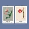 2027 botanical cactus wall calendar showing March and April
