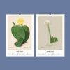 2027 botanical cactus wall calendar showing May and June