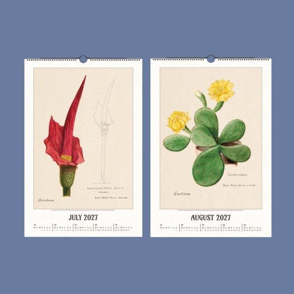 2027 botanical wall calendar showing July and August pages