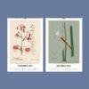 2027 botanical wall calendar showing November and December pages