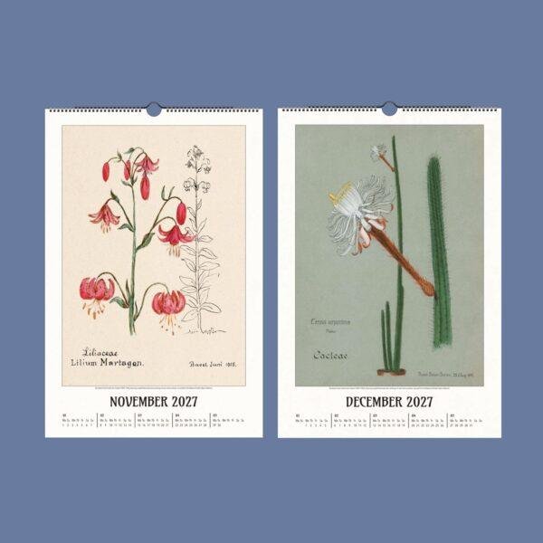 2027 botanical wall calendar showing November and December pages