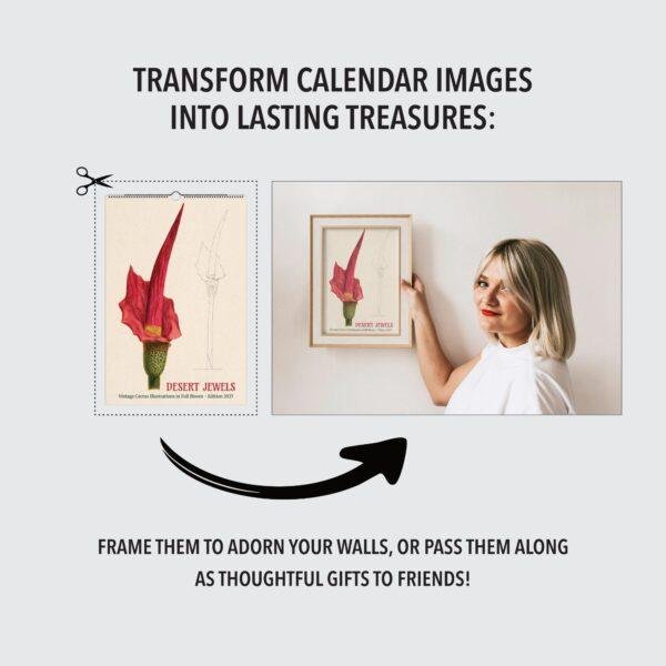 Woman framing vintage cactus calendar art on wall