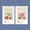 2027 wall calendar with vintage botanical illustration pages