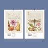 2027 wall calendar featuring vintage botanical illustrations September October
