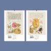2027 wall calendar featuring vintage botanical illustrations for November December