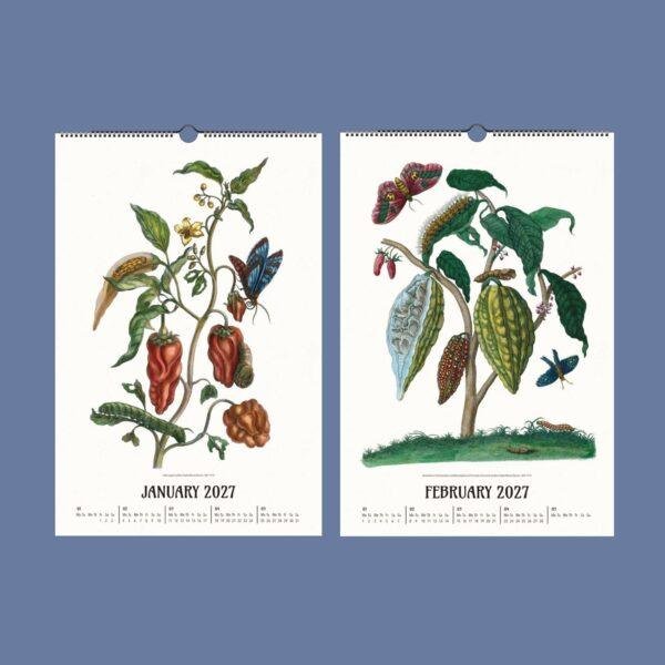 2027 wall calendar featuring botanical illustrations for January and February