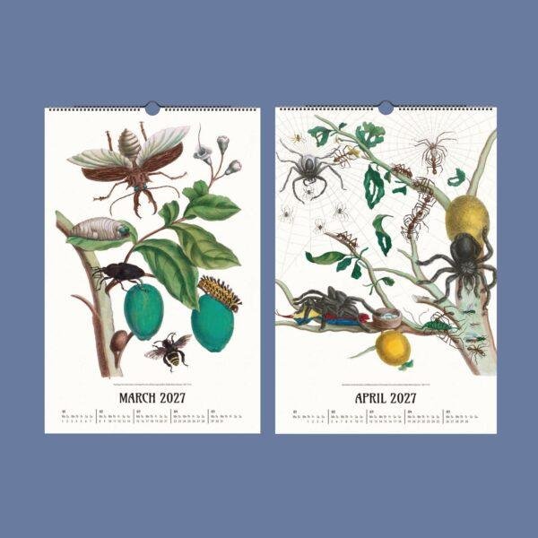 2027 wall calendar featuring vintage botanical insect illustrations