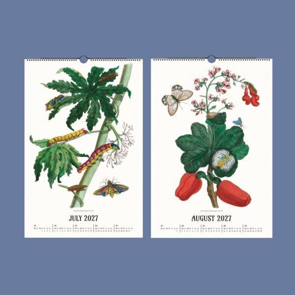 2027 wall calendar featuring botanical illustrations for July and August