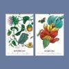 2027 wall calendar September October botanical illustration pages