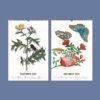2027 wall calendar November December botanical insect illustrations
