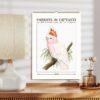 Parrots in Captivity 2027 wall calendar with cockatoo illustration