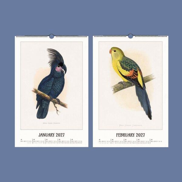 2027 wall calendar featuring vintage parrot illustrations